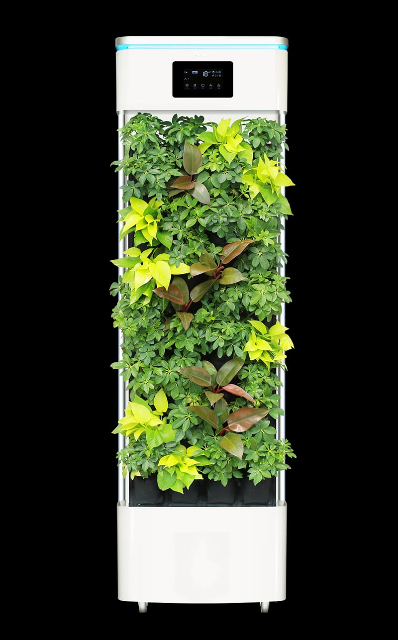 Air-purifying plants